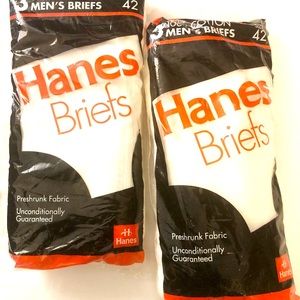 Hanes Mens Briefs-Sz 42